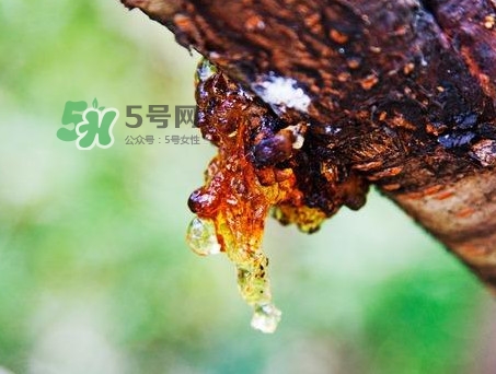 桃膠是發(fā)物嗎？桃膠是中藥嗎