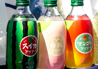 友桝農(nóng)園豐潤(rùn)汽水多少錢？友桝果味汽水好喝嗎