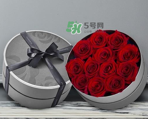 roseonly怎么讀？roseonly怎么讀在線讀？