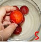 芙蓉李甜嗎？芙蓉李好吃嗎？