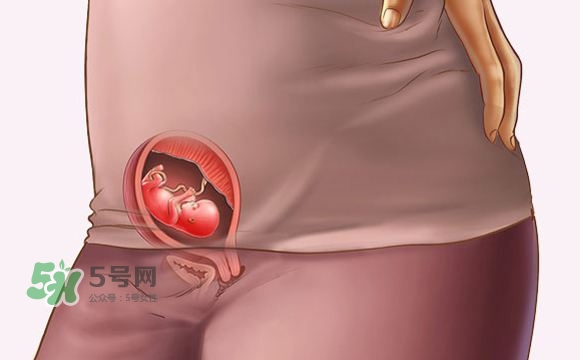 孕期尿頻什么時候開始？孕期尿頻特別嚴(yán)重