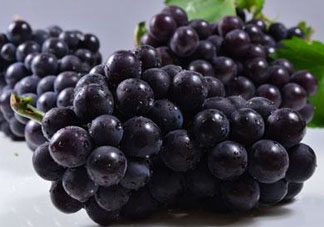 戶太八號什么時候成熟？戶太八號幾月份成熟？