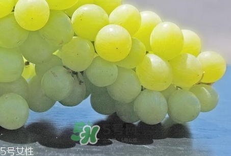綠葡萄的營養(yǎng)價(jià)值_綠葡萄的功效與作用及飲食禁忌