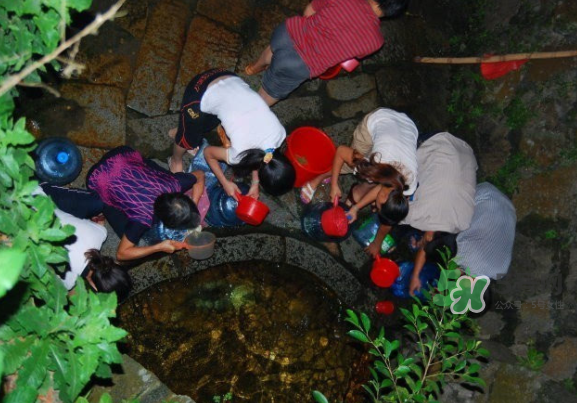 七夕水為什么不會壞？七夕水科學解釋