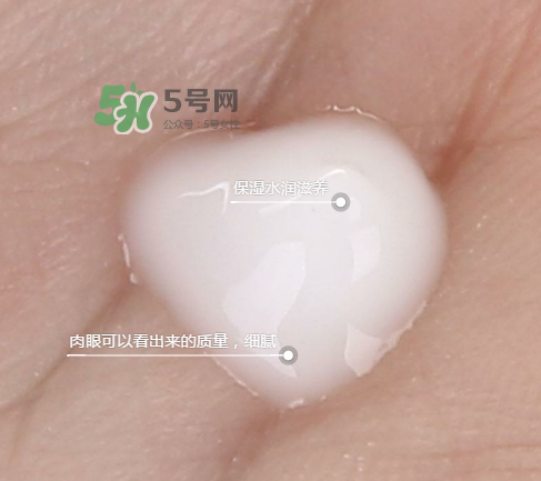 蘭芝新水酷特潤乳霜多少錢？蘭芝新水酷特潤乳霜價格