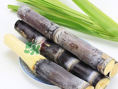 甘蔗什么時候成熟？甘蔗什么時候上市