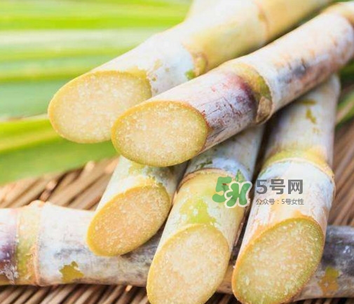 甘蔗是酸性還是堿性？甘蔗是水果嗎