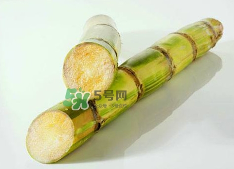 甘蔗是哪里的特產(chǎn)？甘蔗是什么地方的特產(chǎn)