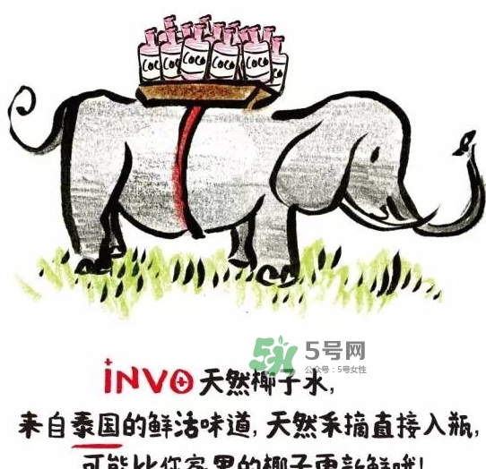 invo椰子水多少錢？invo椰子水好喝嗎？