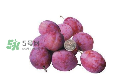 西梅什么時(shí)候上市？新疆西梅什么時(shí)候上市