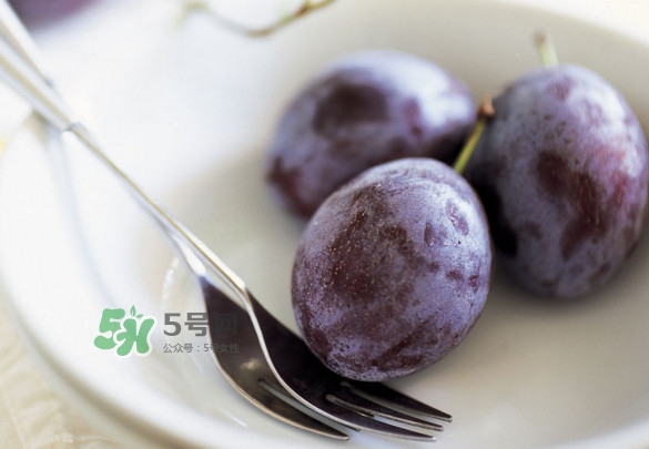 西梅怎么挑選？新鮮西梅怎么保存