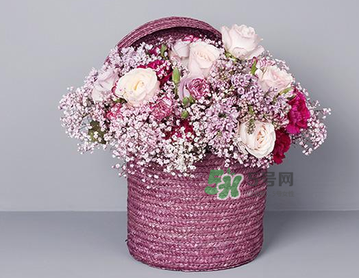 野獸派和roseonly哪個(gè)好？野獸派和roseonly區(qū)別