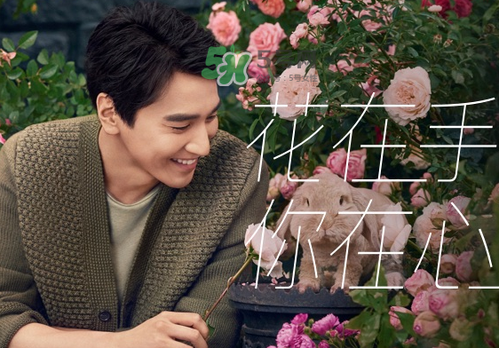 野獸派是什么品牌？野獸派是哪個(gè)國家的？