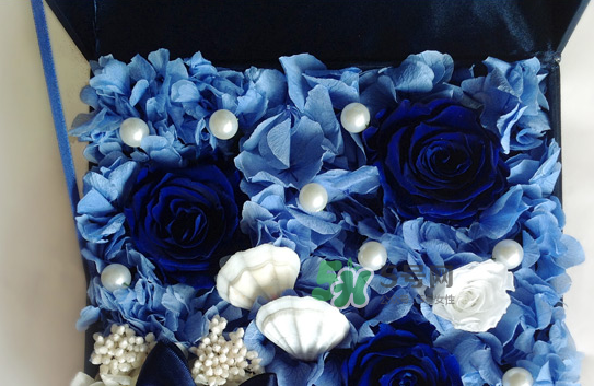 野獸派永生花會死嗎？野獸派永生花是什么？