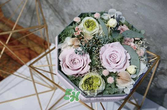 野獸派永生花會死嗎？野獸派永生花是什么？