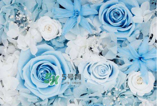 野獸派永生花會死嗎？野獸派永生花是什么？