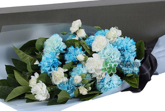 joyflower是哪國(guó)品牌？joyflower怎么樣？