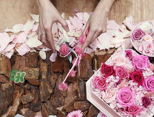 the beast是什么品牌？the beast是什么牌子？