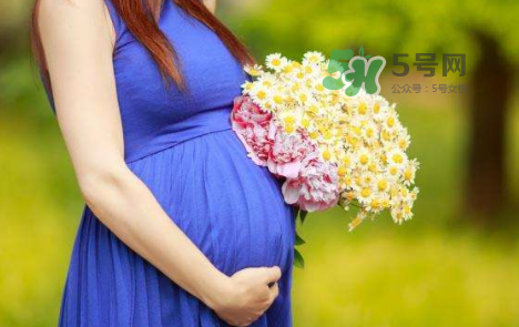 孕婦可以拔牙嗎？孕婦可以拔智齒嗎？