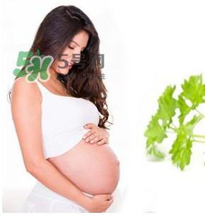 孕婦可以拔牙嗎？孕婦可以拔智齒嗎？