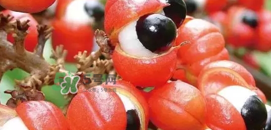 黑卡飲料多少錢一瓶？黑卡6小時(shí)價(jià)格表