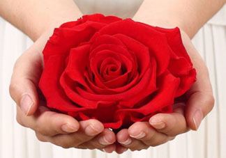 送永生花代表什么？一個男孩送自己永生花是什么意思？