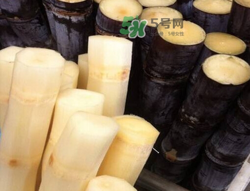 甘蔗是哪里的特產(chǎn)？甘蔗是什么地方的特產(chǎn)