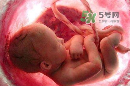 胎兒什么時(shí)候入盆？胎兒入盆后胎動會減少嗎？