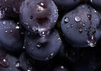 戶太八號和巨峰哪個好？戶太八號和巨峰的區(qū)別