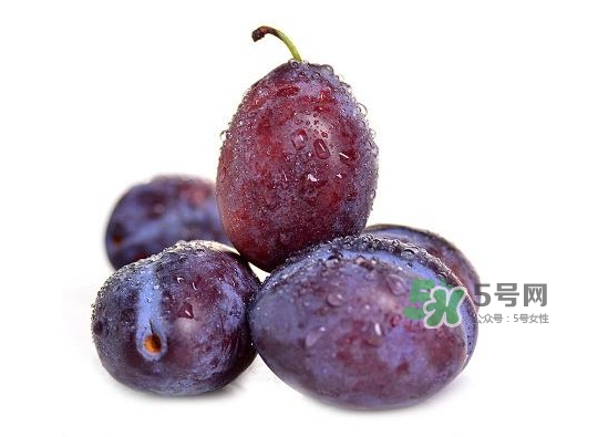 西梅怎么挑選？新鮮西梅怎么保存