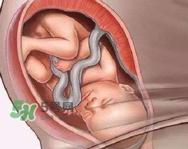 胎兒什么時(shí)候入盆？胎兒入盆后胎動會減少嗎？