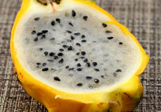 麒麟果會拉肚子嗎？麒麟果拉肚子怎么辦？