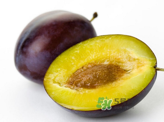 西梅怎么挑選？新鮮西梅怎么保存