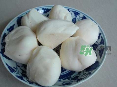 涼薯是什么東西？涼薯是地瓜嗎？