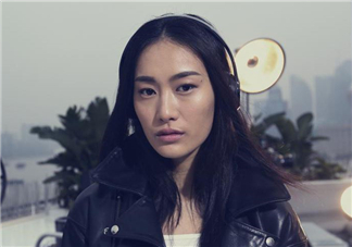 維多利亞的秘密2017有秦舒培嗎？秦舒培入選了嗎？