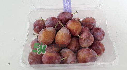 西梅什么時(shí)候上市？新疆西梅什么時(shí)候上市