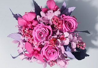 joyflower是哪國品牌？joyflower怎么樣？