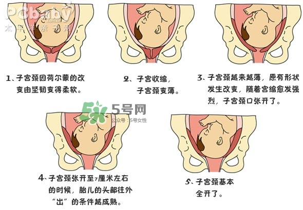 生孩子的過程是怎樣的？生孩子的真實(shí)過程
