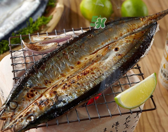 秋刀魚有刺嗎？秋刀魚刺多嗎？