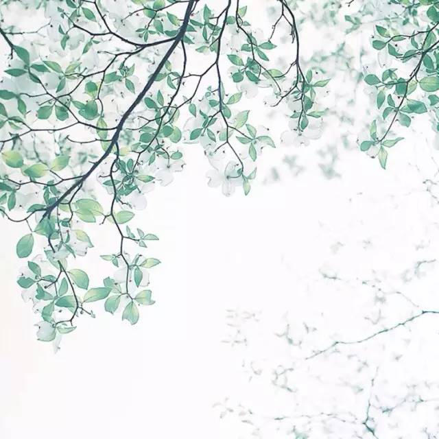 這世上，只有一種男人不會出軌