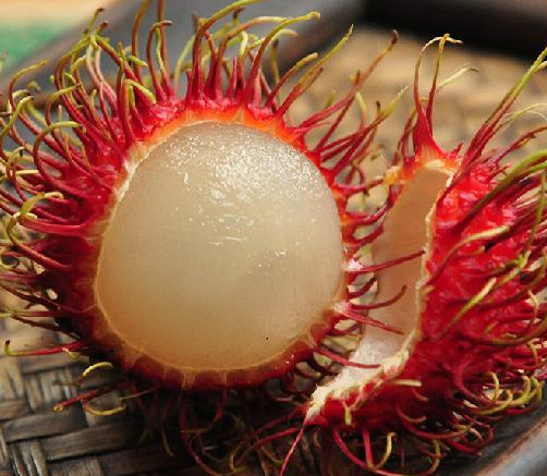 紅毛丹是哪里的特產(chǎn)？紅毛丹是什么季節(jié)的水果