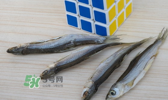 刁子魚是發(fā)物嗎？刁子魚是不是發(fā)物