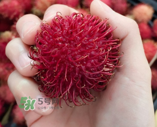 紅毛丹是什么水果？紅毛丹是熱性水果嗎？