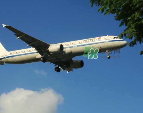 紅毛丹可以帶上飛機(jī)嗎？紅毛丹能帶上飛機(jī)嗎