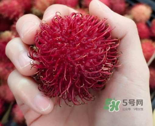 吃紅毛丹對身體有什么好處？紅毛丹有什么營養(yǎng)價值