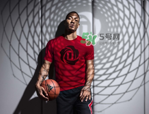 2017羅斯中國行是什么時候？2017羅斯中國行行程安排