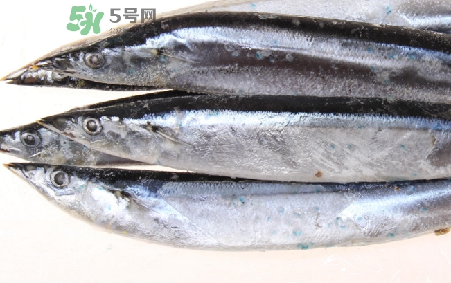秋刀魚是海魚嗎？秋刀魚是淡水魚還是海魚