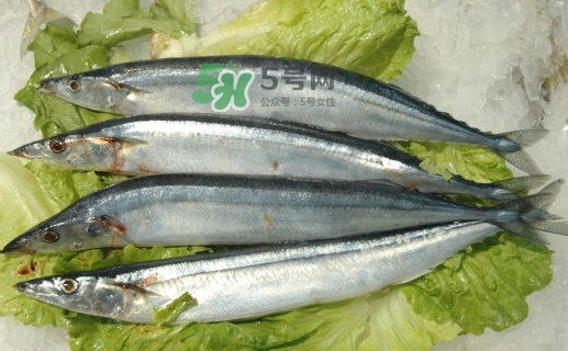 秋刀魚有魚鱗嗎？秋刀魚有寄生蟲嗎