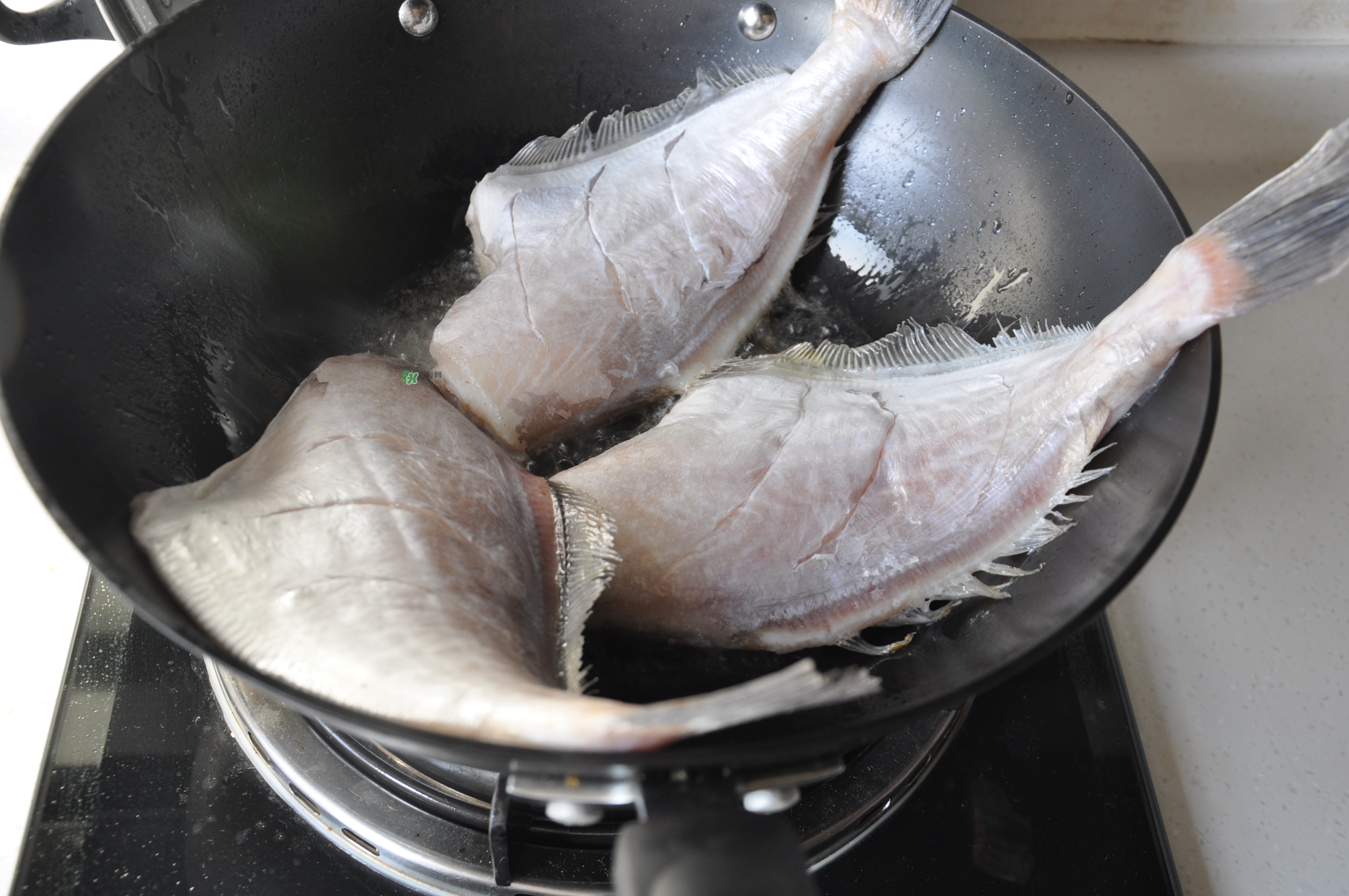 剝皮魚孕婦可以吃嗎？懷孕可以吃剝皮魚嗎？