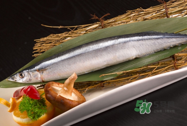 秋刀魚(yú)是不是鲅魚(yú)？秋刀魚(yú)和鲅魚(yú)的區(qū)別